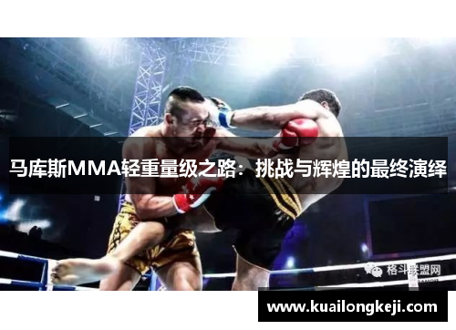 马库斯MMA轻重量级之路：挑战与辉煌的最终演绎